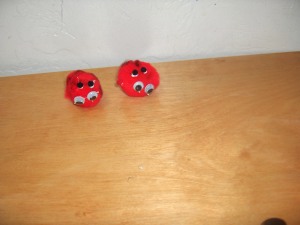 The ladybugs